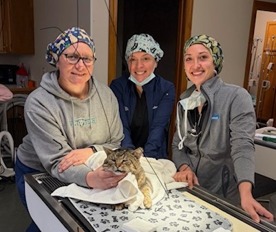 Community Cats TNR #1900 with Dr Katie & techs 040826
