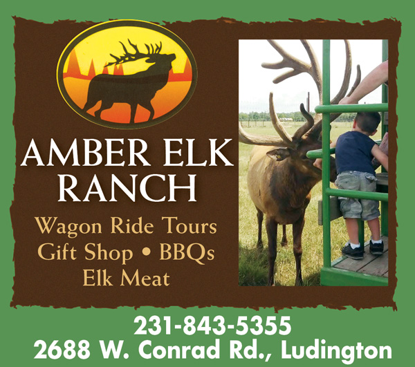 Amber Elk Ranch