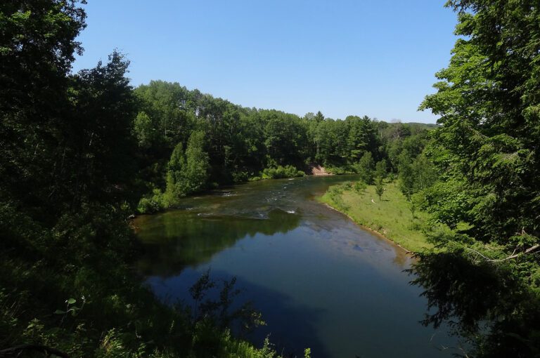 Manistee National Forest Festival West Michigan Guides