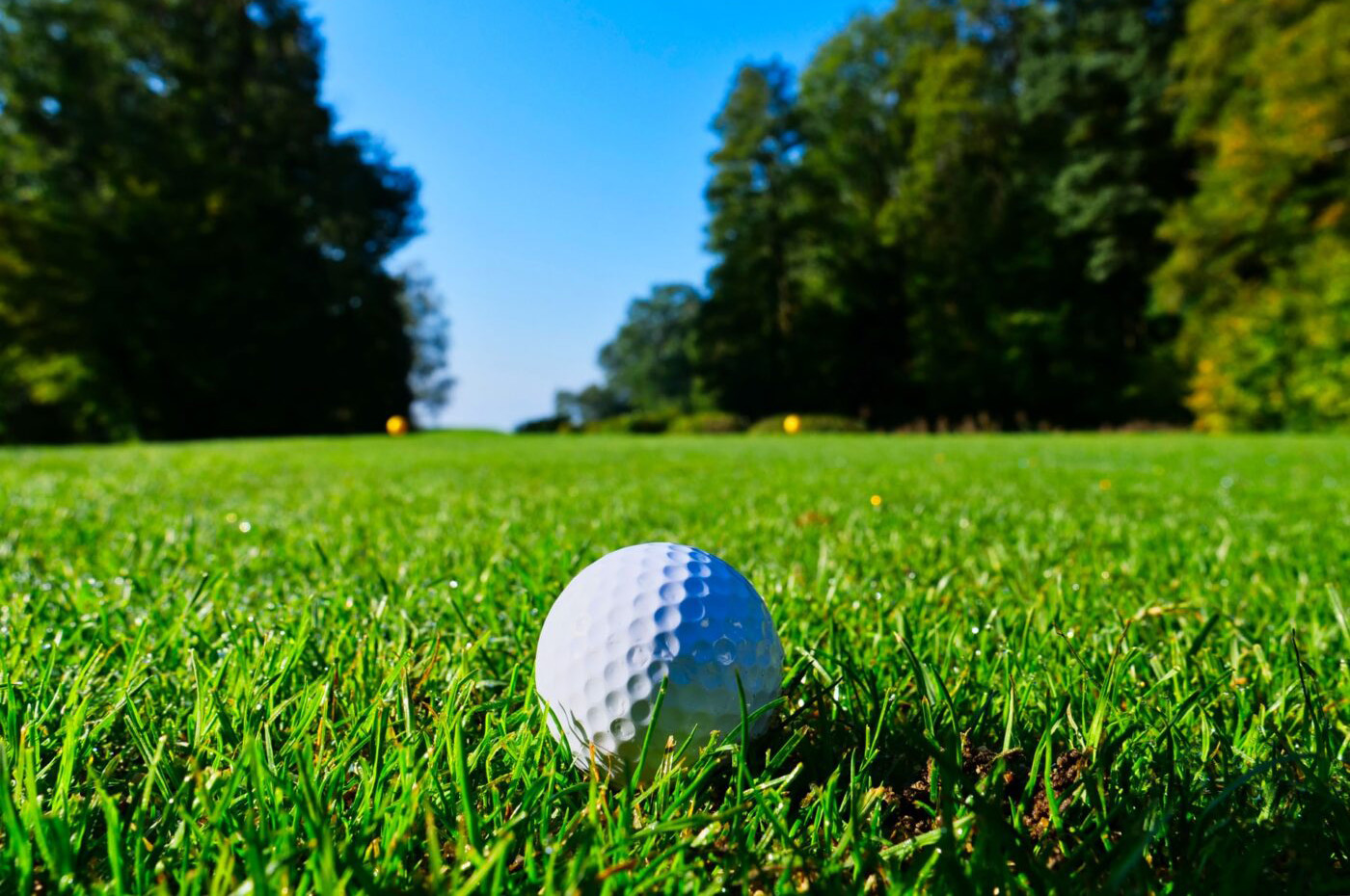 Golf Courses West Michigan Guides