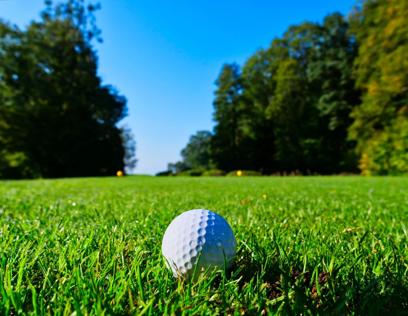 Golf Courses West Michigan Guides