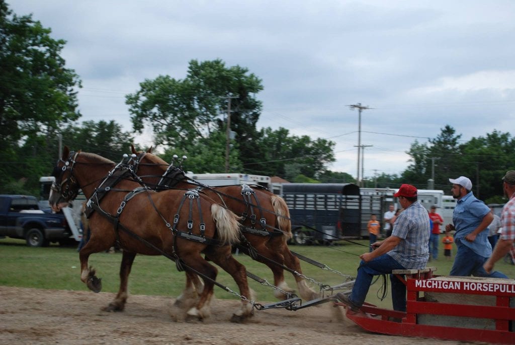 Festivals & Events Calendar West Michigan Guides